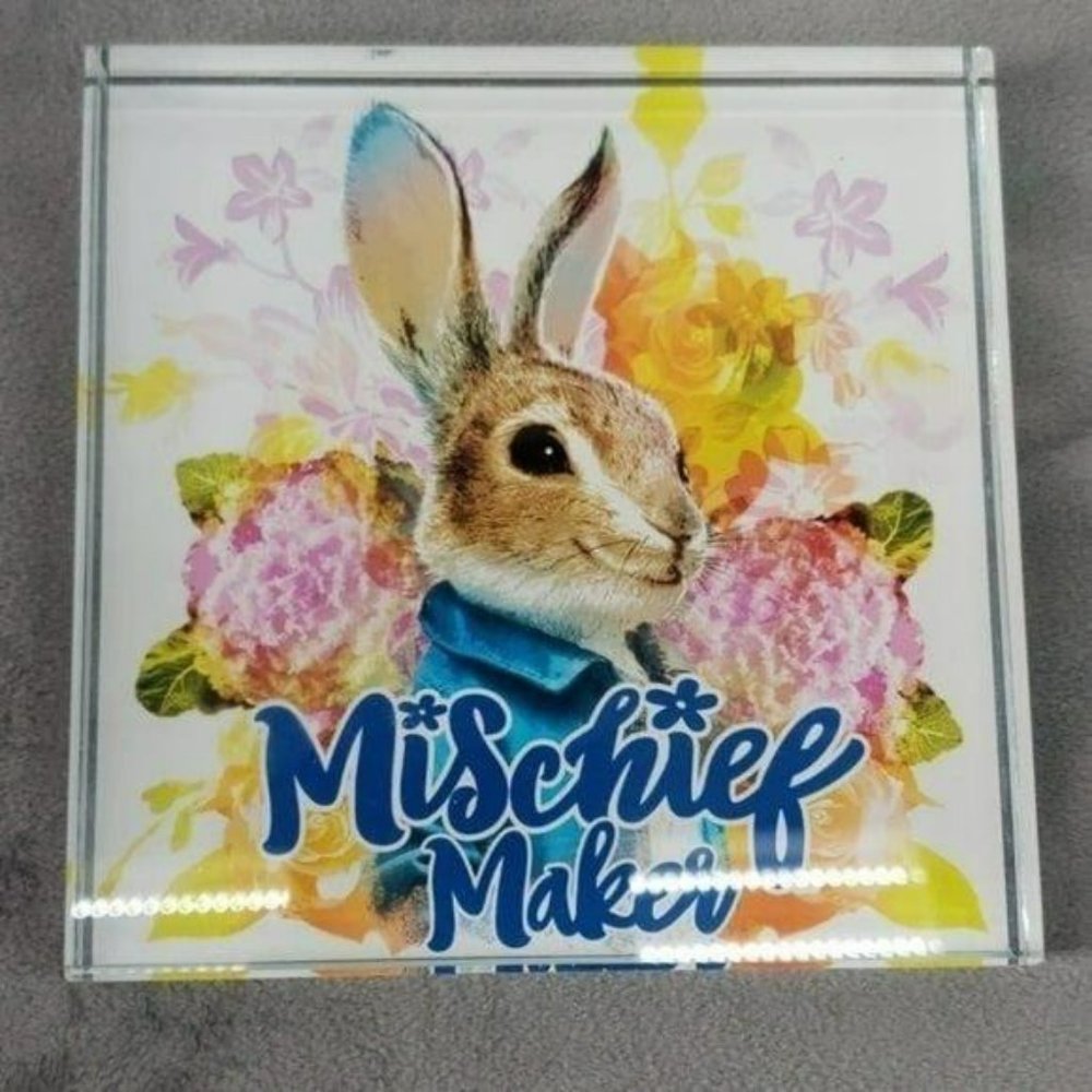 DanDee Peter Rabbit Mischief Maker‎ Easter Table Decor Glass 5" x 5" Paperweight